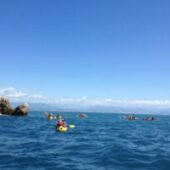 Location kayak Cannes : explorez la Méditerranée avec Go Kayak Cannes