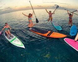paddle cannes